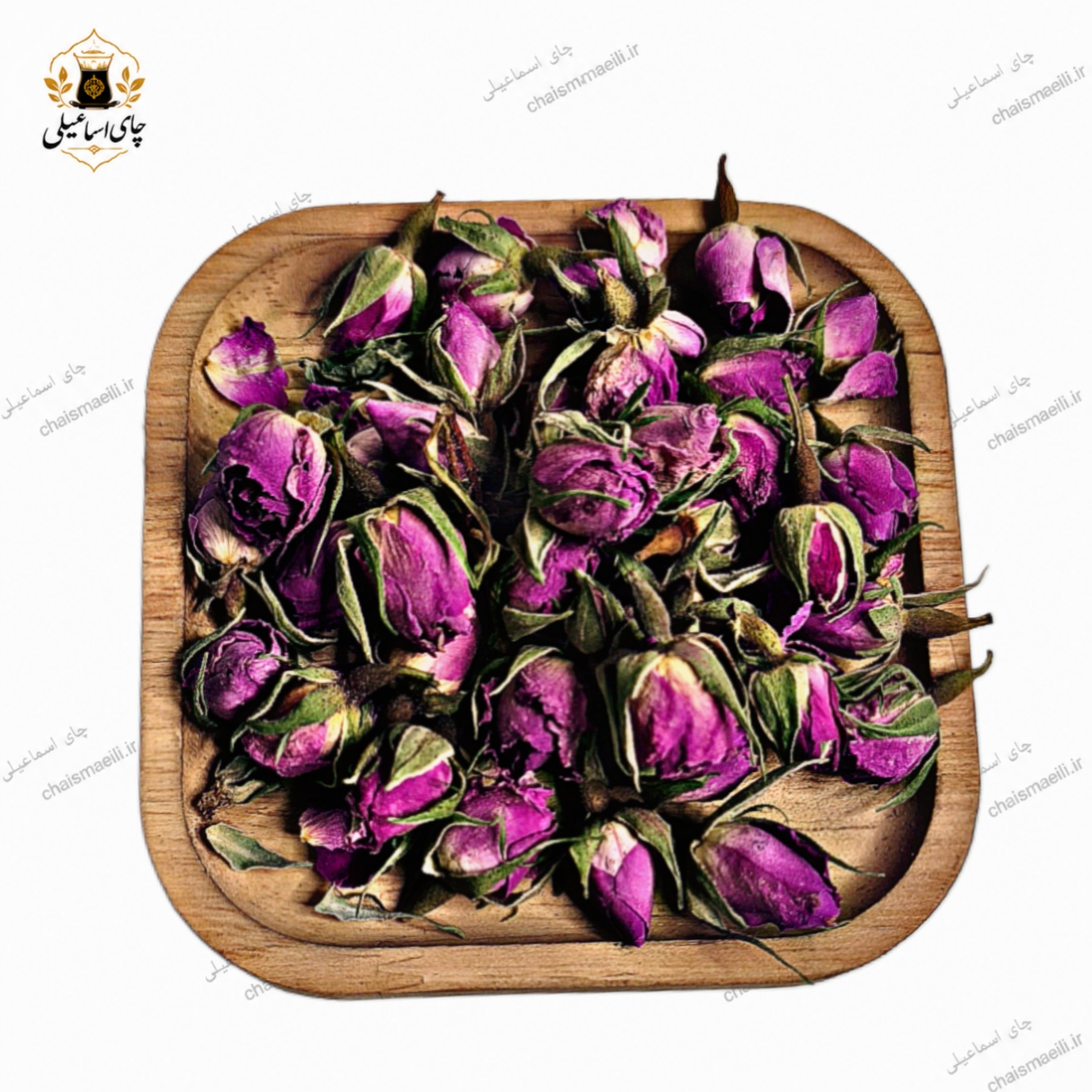 غنچه گل محمدی لاله زار