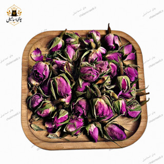 غنچه گل محمدی لاله زار